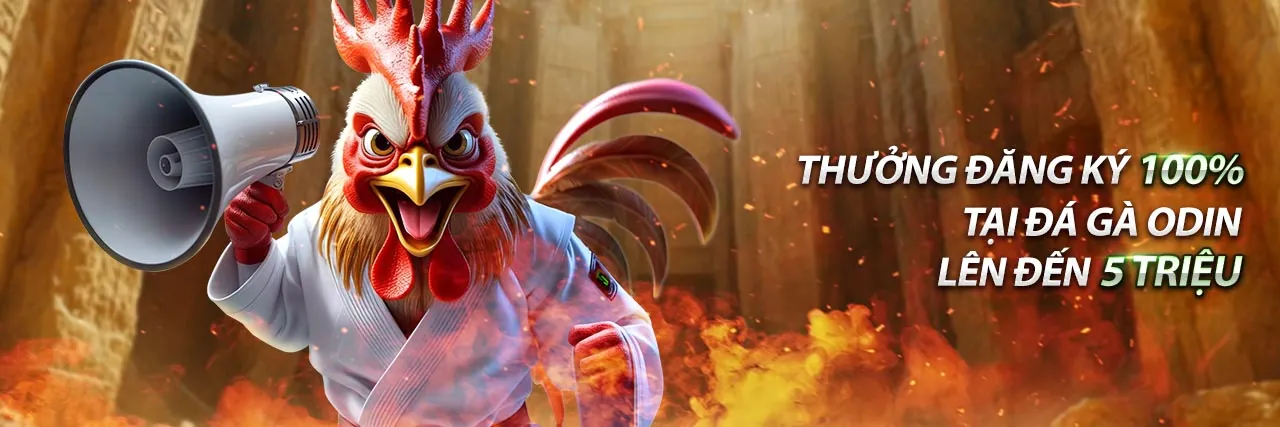 Hình ảnh chiến lược Phỏm và các lá bài đang được sắp xếp để giành chiến thắng trong trò chơi trực tuyến